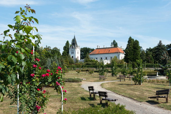 Quality photo of Arboretum Mlynany - Slovakia