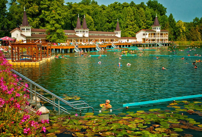 Quality photo of Heviz Thermal Lake - Hungary