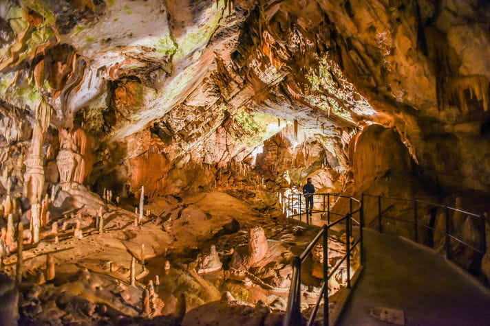 Quality photo of Postojna Cave - Slovenia